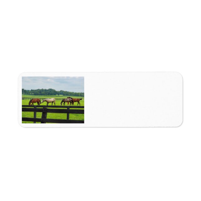 Kentucky Bluegrass address labels (Front)