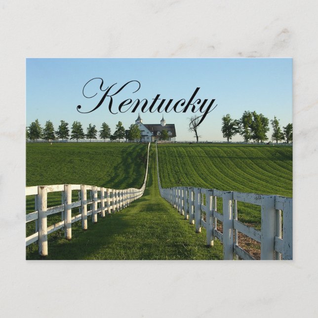 Kentucky Bluegrass Country Postcard (Front)