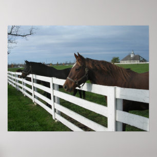 Kentucky Bluegrass Country Poster