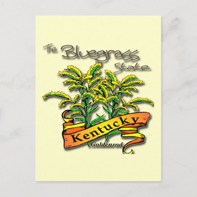 Kentucky Bluegrass State Goldenrod Postcard (Front)
