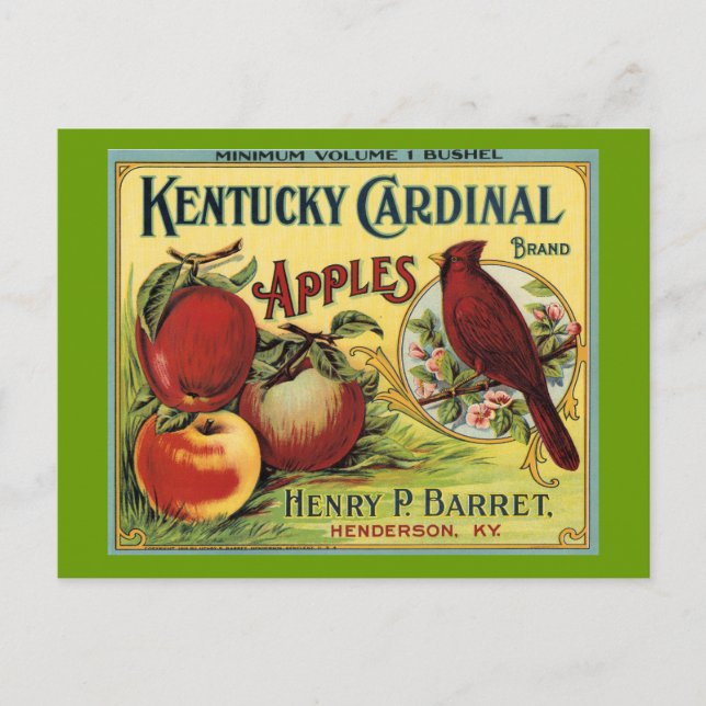 Kentucky Cardinal Bird Postcard (Front)