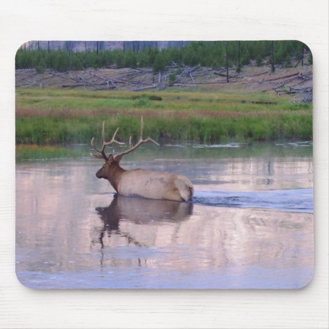 Kentucky Elk Mouse Mat (Front)