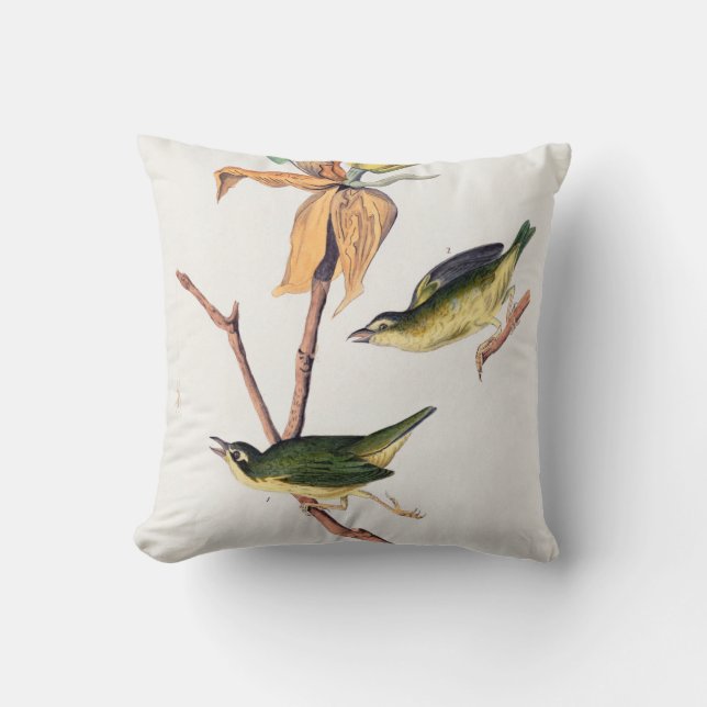 Kentucky Fly-catching Warbler Birds Illustration Cushion (Front)