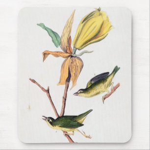 Kentucky Fly-catching Warbler Birds Illustration Mouse Mat