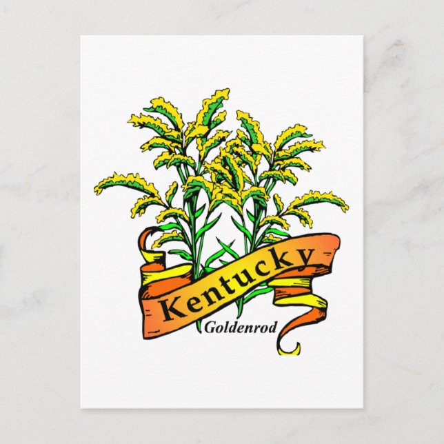 Kentucky Goldenrod Postcard (Front)