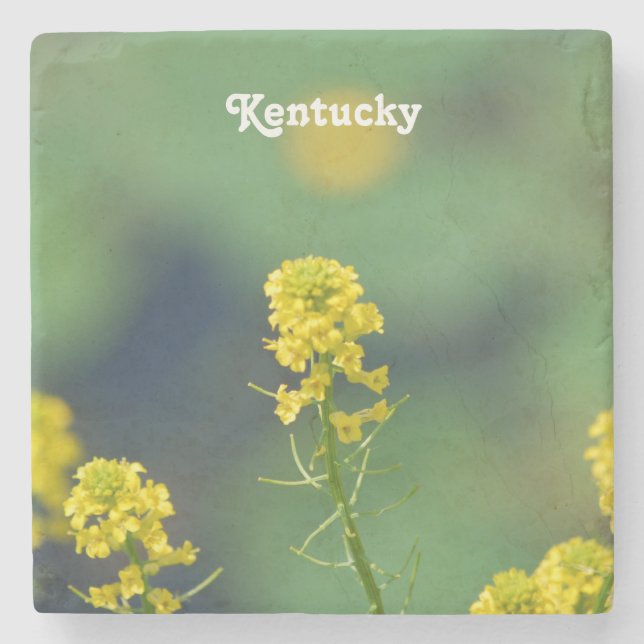 Kentucky Goldenrod Stone Coaster (Front)