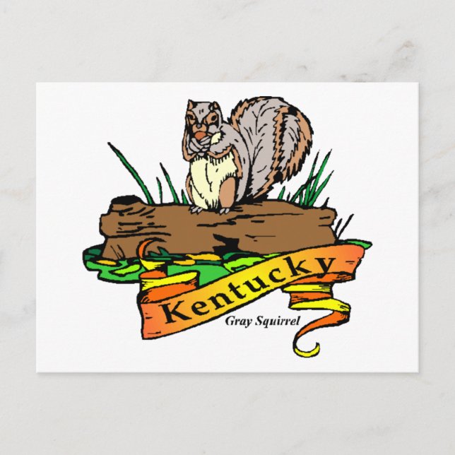 Kentucky grey squirrel postcard (Front)