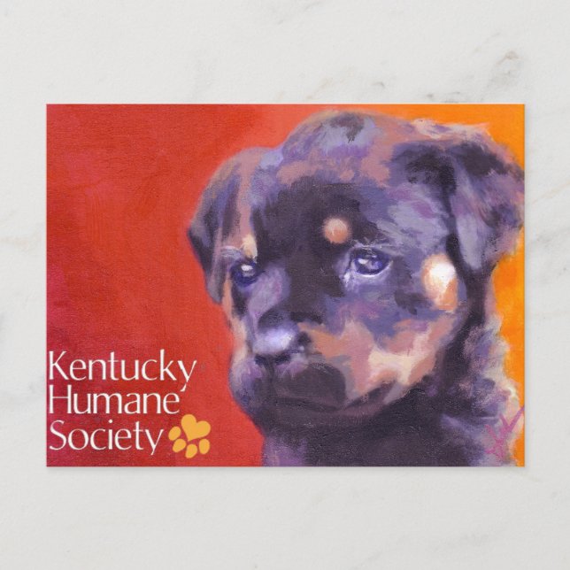 Kentucky Humane Society Postcard (Front)