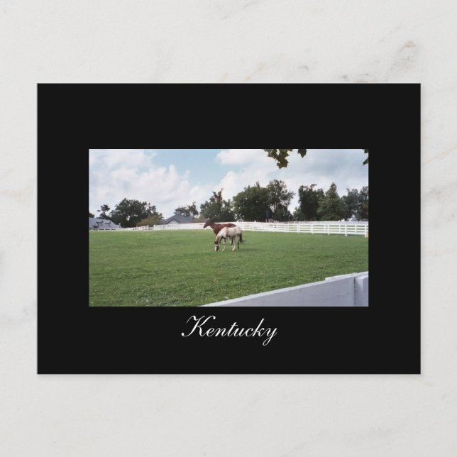 Kentucky Postcard (Front)