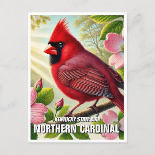 Kentucky State Bird Northern Cardinal Postcard