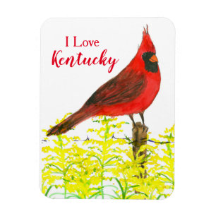 Kentucky Tourist Souvenir Cardinal State Bird Magnet