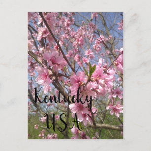 Kentucky USA Holiday Postcard