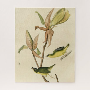 Kentucky Warbler from Audubon's Birds of America Jigsaw Puzzle
