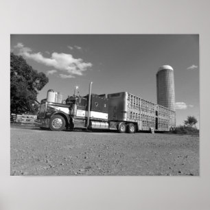 Kenworth A Model Livestock Haulier (black & white) Poster