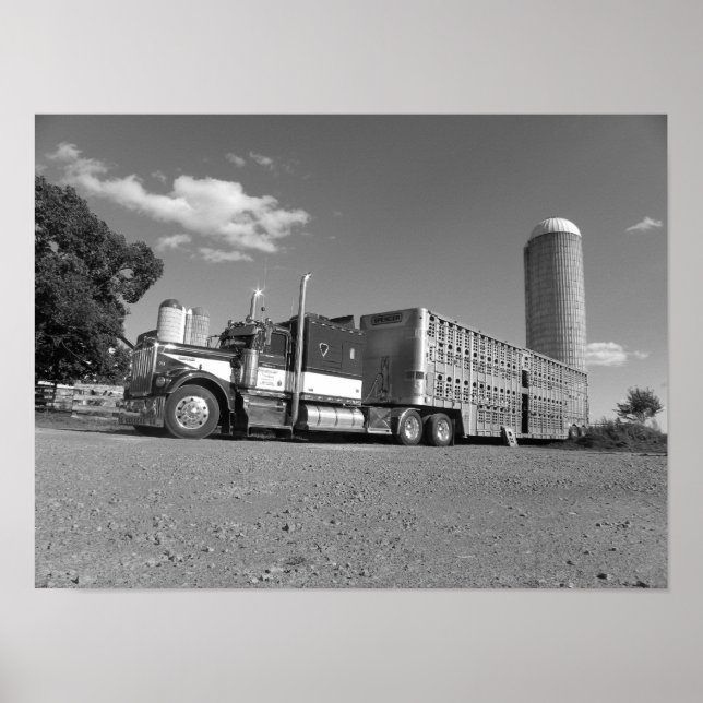 Kenworth A Model Livestock Haulier (black & white) Poster (Front)