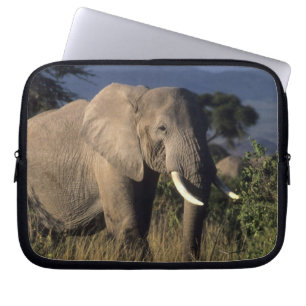 Kenya: Amboseli, male African elephant Laptop Sleeve