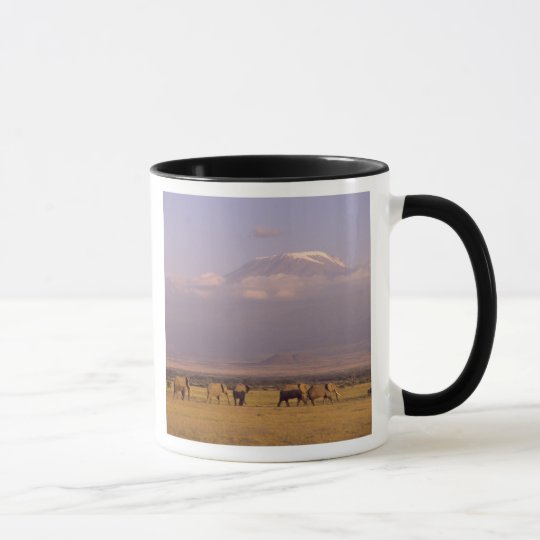 Kenya: Amboseli National Park, elephants and Mug