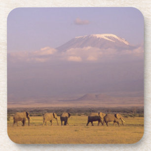 Kenya: Amboseli National Park, Elephants Coaster