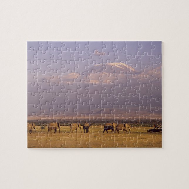 Kenya: Amboseli National Park, Elephants Jigsaw Puzzle (Horizontal)