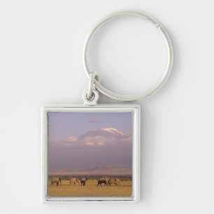 Kenya: Amboseli National Park, Elephants Key Ring