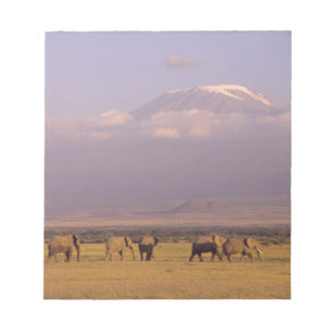 Kenya: Amboseli National Park, Elephants Notepad