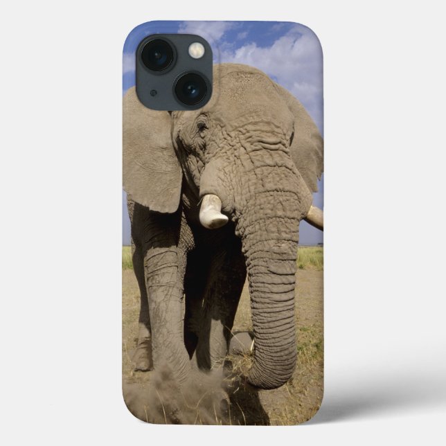 Kenya: Amboseli National Park, male elephant Case-Mate iPhone Case (Back)