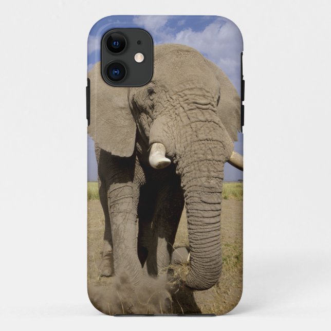 Kenya: Amboseli National Park, male elephant Case-Mate iPhone Case (Back)