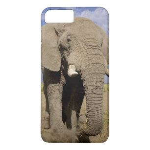 Kenya: Amboseli National Park, male elephant iPhone 8 Plus/7 Plus Case