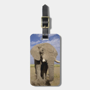 Kenya: Amboseli National Park, male elephant Luggage Tag