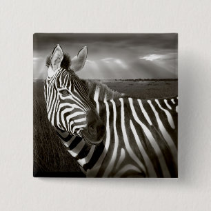 Kenya. Black & white of zebra and plain. 15 Cm Square Badge