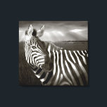 Kenya. Black & white of zebra and plain. Canvas Print<br><div class="desc">COPYRIGHT Joanne Williams / Jaynes Gallery / DanitaDelimont.com | AF21 BJA0178.jpg | Kenya. Black & white of zebra and plain. (Digital Manipulation) Credit as: Joanne Williams / Jaynes Gallery / DanitaDelimont.com</div>