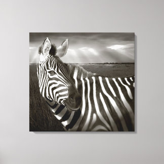 Kenya. Black & white of zebra and plain. Canvas Print