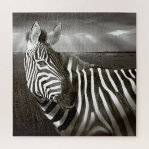 Kenya. Black & white of zebra and plain. Jigsaw Puzzle