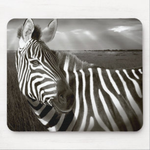 Kenya. Black & white of zebra and plain. Mouse Mat