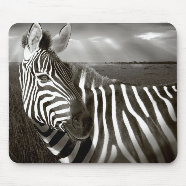 Kenya. Black & white of zebra and plain. Mouse Mat (Front)