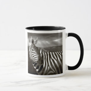 Kenya. Black & white of zebra and plain. Mug