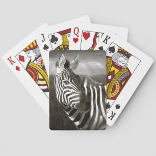 Kenya. Black & white of zebra and plain. Playing Cards