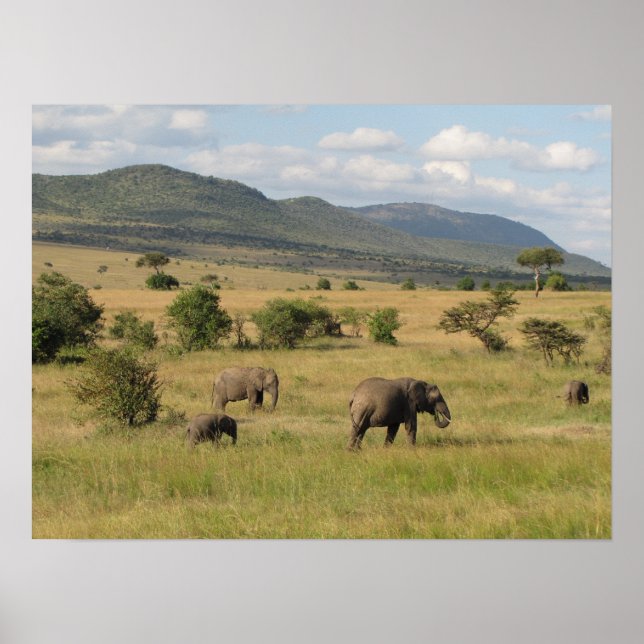 KENYA Elephants Roaming Poster (Front)