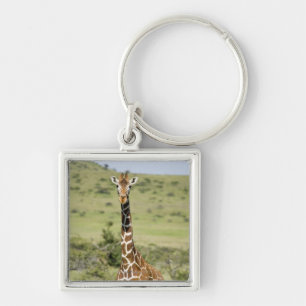 Kenya, Lewa Conservancy, Masai Giraffe standing Key Ring