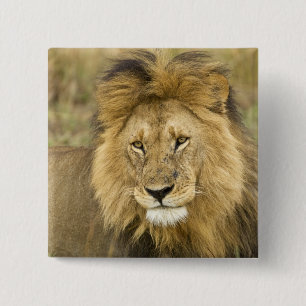 Kenya Masai Mara 15 Cm Square Badge