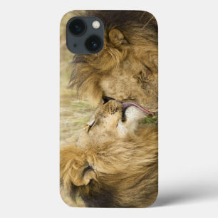 Kenya, Masai Mara. Close-up of one male lion iPhone 13 Case