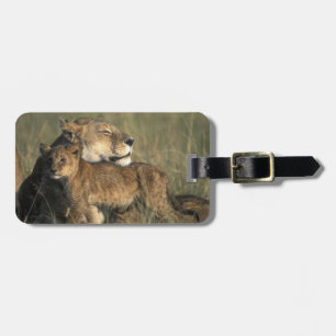 Kenya, Masai Mara Game Reserve, Lioness Luggage Tag