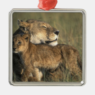 Kenya, Masai Mara Game Reserve, Lioness Metal Tree Decoration