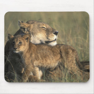 Kenya, Masai Mara Game Reserve, Lioness Mouse Mat