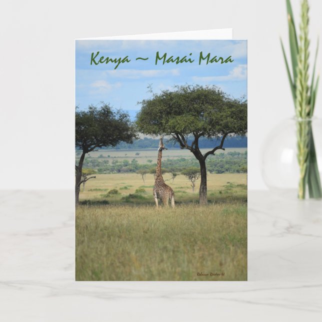 Kenya Masai Mara Giraffe Card (Front)