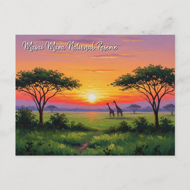 Kenya Masai Mara Giraffes Sunset Postcard (Front)