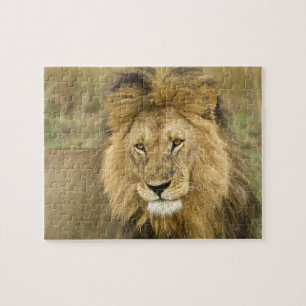 Kenya Masai Mara Jigsaw Puzzle