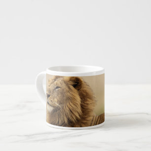 Kenya, Masai Mara Male Lion Espresso Cup