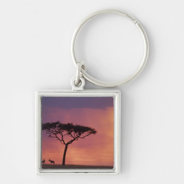 Kenya: Masai Mara National Park, Sunset. Key Ring (Front)