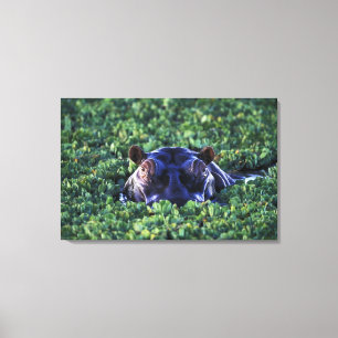 Kenya, Masai Mara National Reserve. Canvas Print